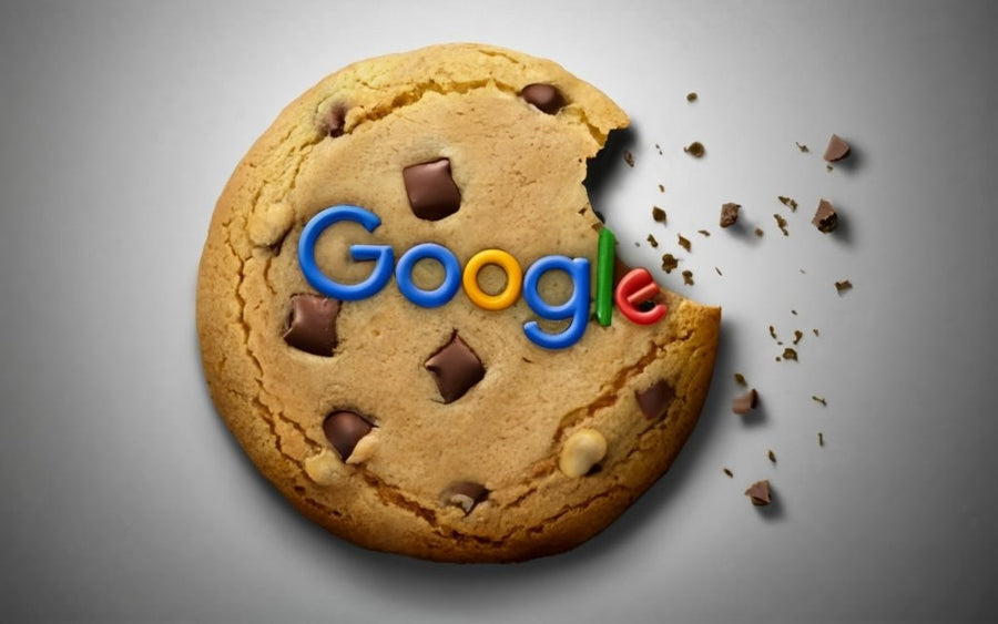 Google Ads in the Cookie-Less Era: How to Track Effectively?
